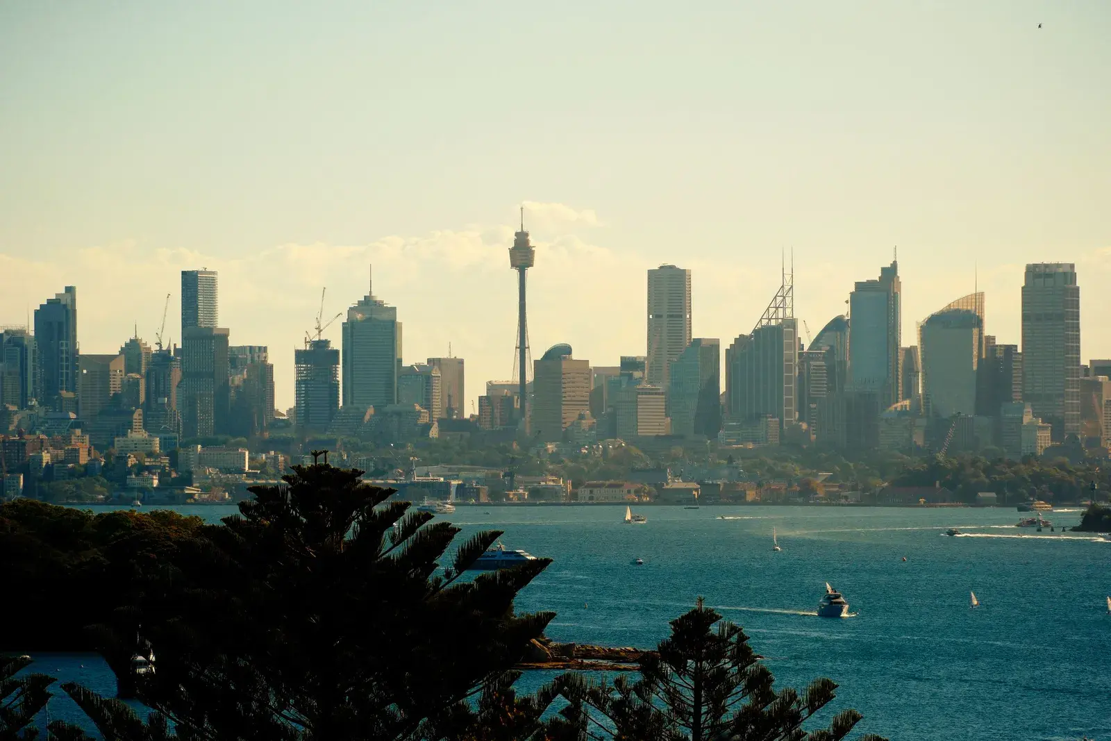 Đường chân trời Sydney nhìn từ phía vịnh vào lúc chiều muộn