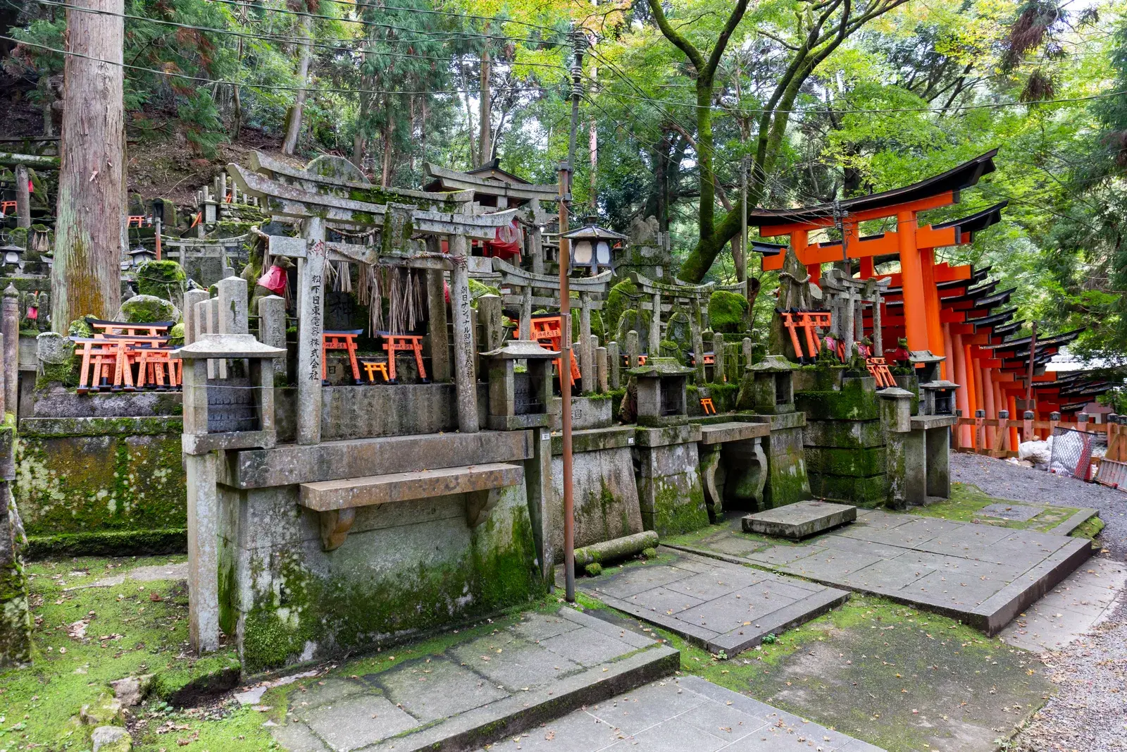 Đường cổng torii đỏ tại đền Fushimi Inari, Kyoto