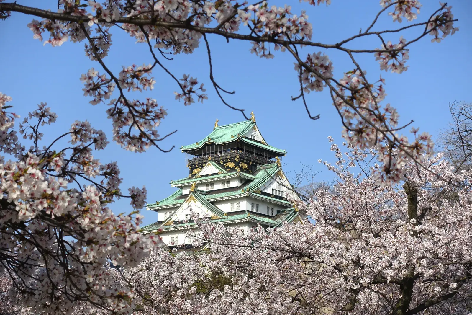 Thành Osaka, Nhật Bản