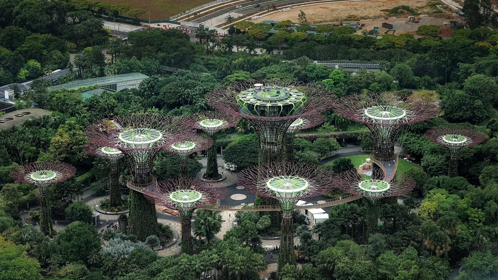 Vườn Gardens by the Bay với rừng cây Supertree