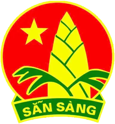 Hội đồng Đội tỉnh Vĩnh Long