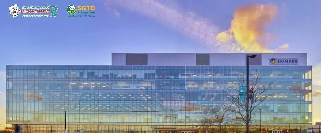 Đời sống sinh viên quốc tế tại Humber Polytechnic