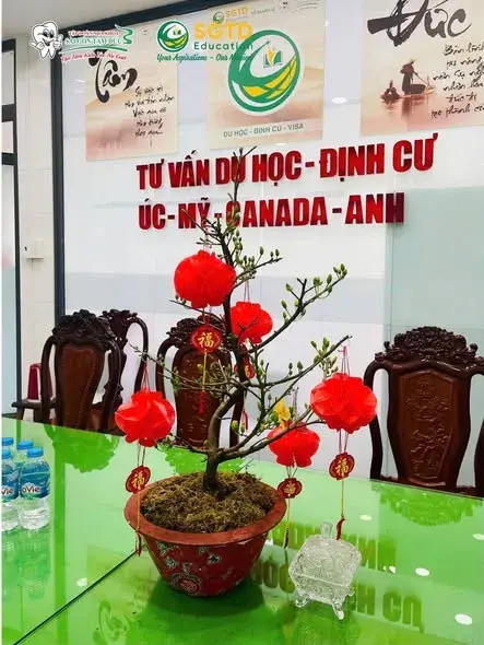 Góc trang trí Tết tại văn phòng